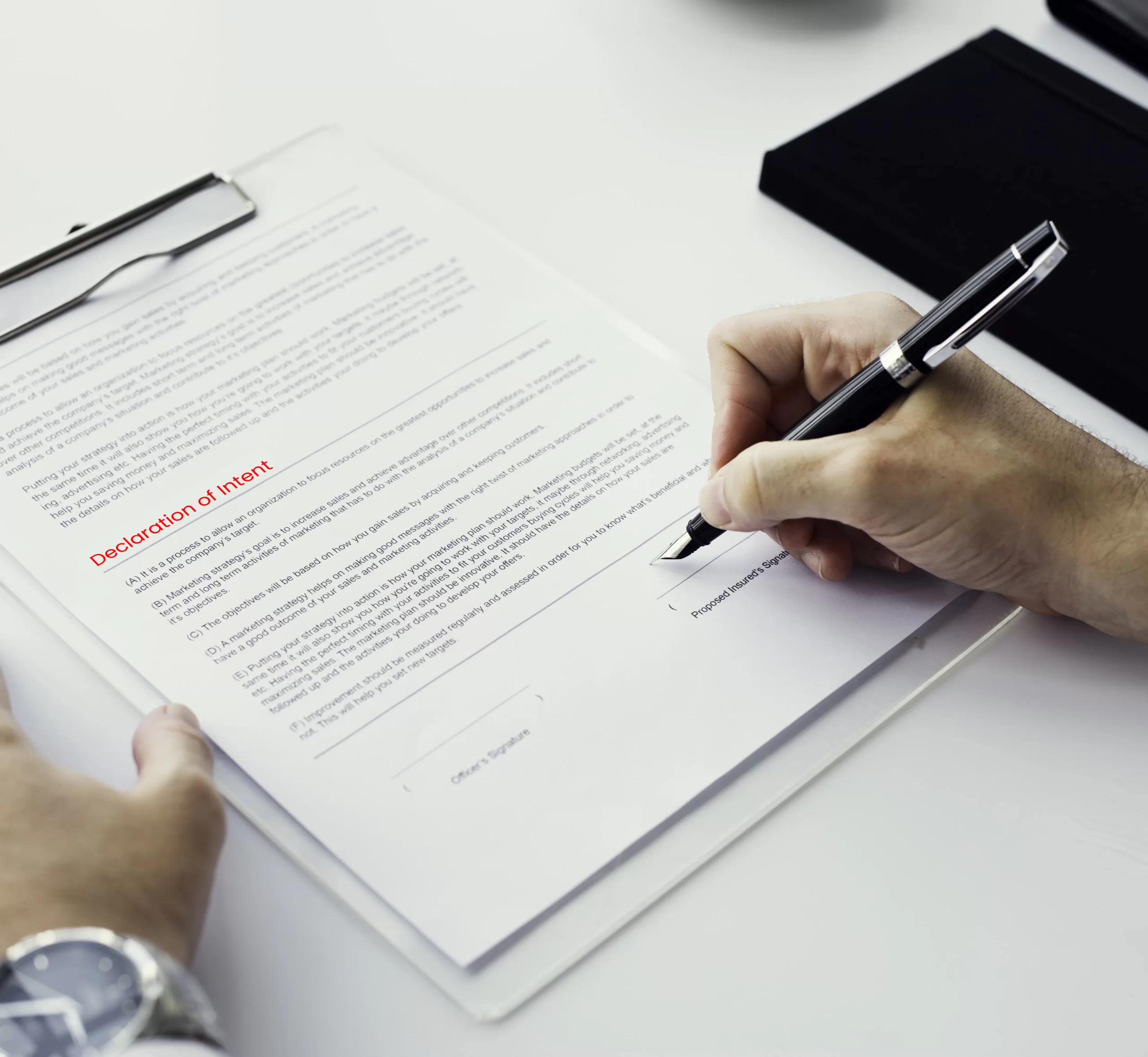 Declaration of intent-hublogistics-Elena Visconti-4PL-customs clearance