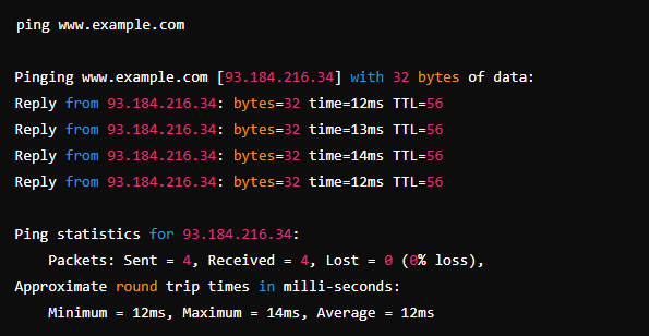 Ping Testing Network Connectivity Angelo Malfitano-NX Lifestyle Logistics Swiss